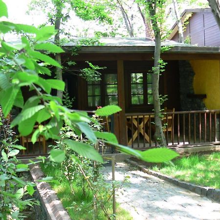 Dolunay Fanizan Hotel Fatsa Ngoại thất bức ảnh
