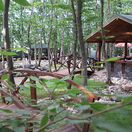 Dolunay Fanizan Hotel Fatsa Ngoại thất bức ảnh