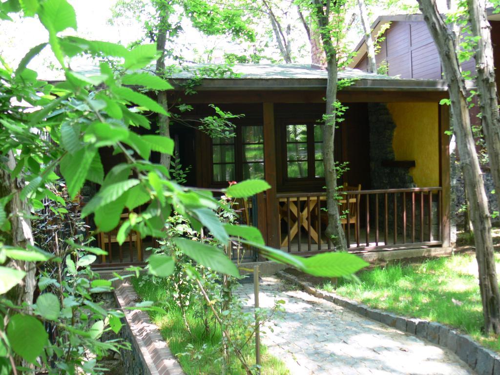 Dolunay Fanizan Hotel Fatsa Ngoại thất bức ảnh